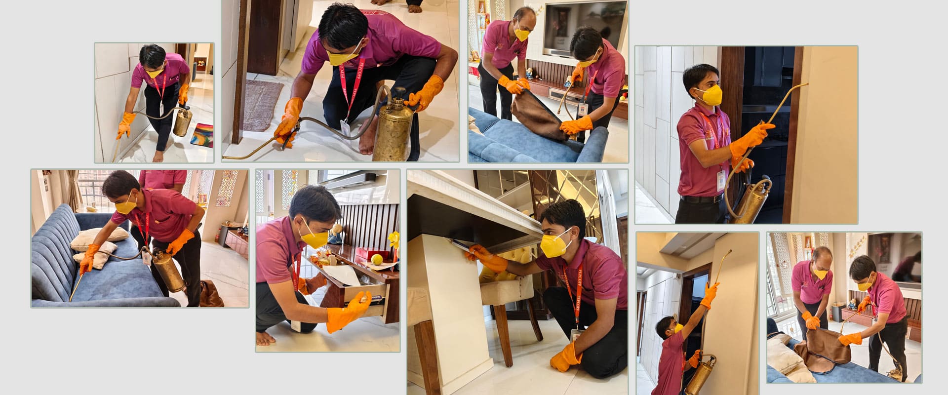 house pest control services