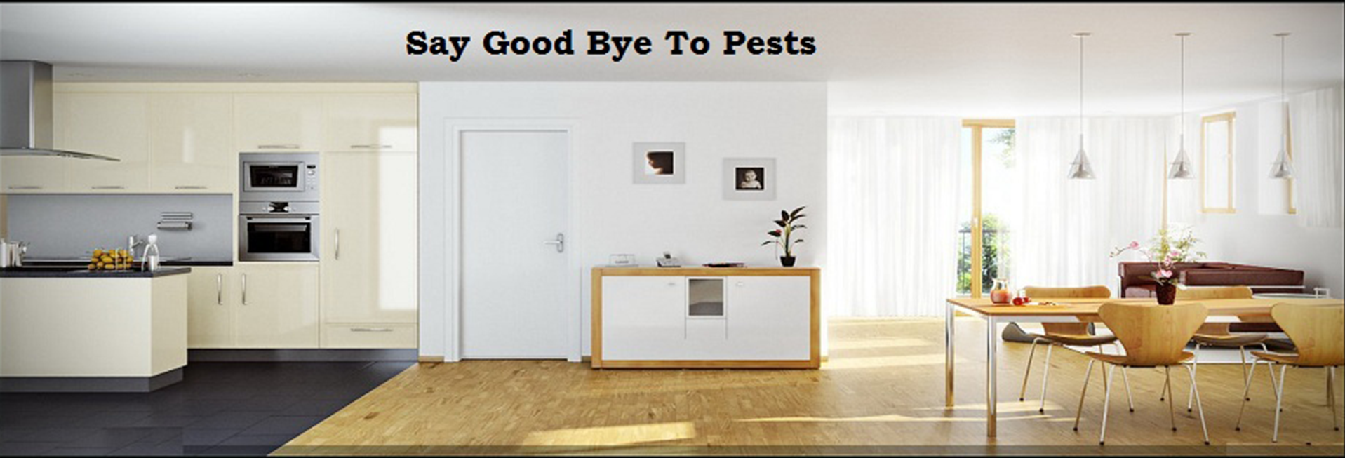 residential pest control services