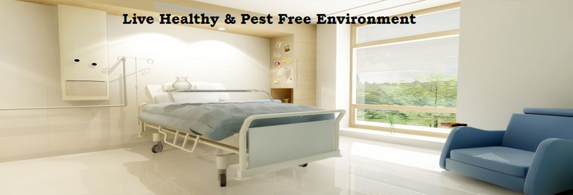 pest control services in hospital