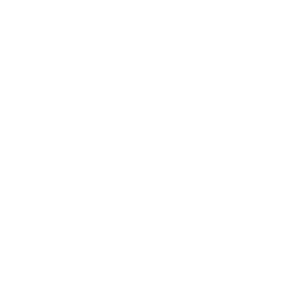 Our Vision