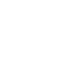 Our Vision