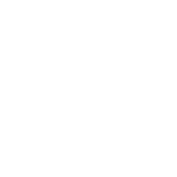 Our Vision