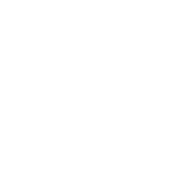 Our Vision